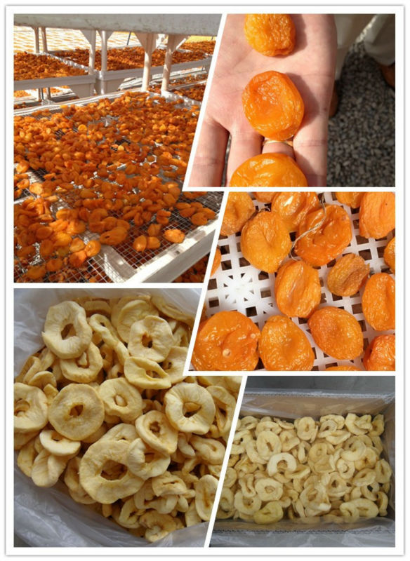 Bullk Dried Apples Dried Apple Rings Dried Sliced Apples,China Fuji