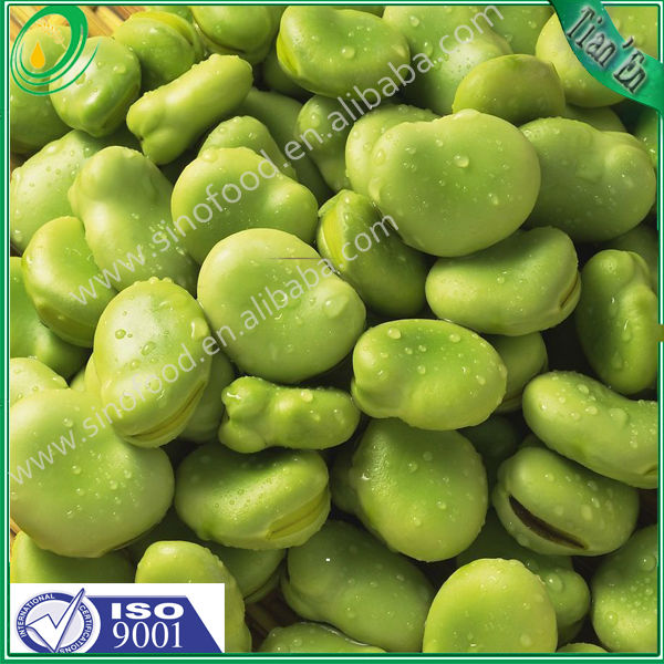High quality 400g canned broad bean in tins From China,China Tian'En