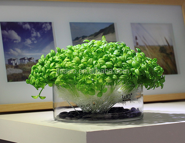 植物プラスチック製の人工的な鉢植えの人工観葉植物仕入れ・メーカー・工場
