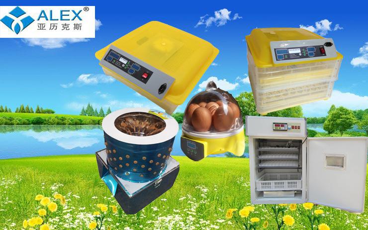 Full Automatic chicken coop designs plucker machine high efficiency sell chicken feet for plucker