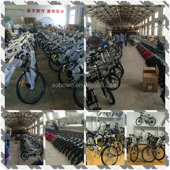 electric bicycle
