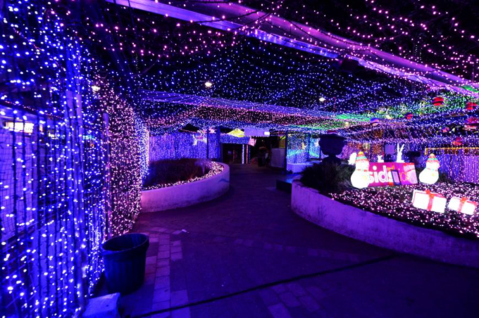 インテリア結婚式100メートル250 ledsクリスマス花飾りベルトライト仕入れ・メーカー・工場