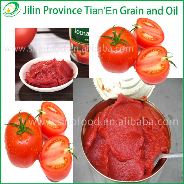 Bulk Buy Chinese canned tomato paste in sauce