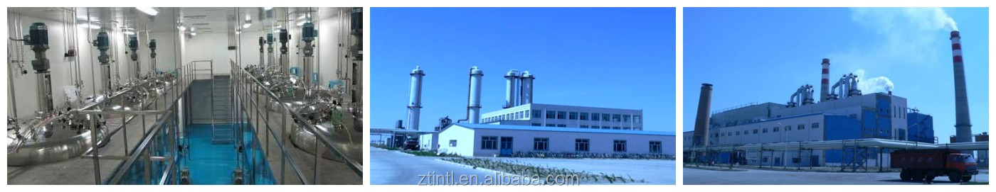 Polydextrose Power Food Additive-China Manufacturer