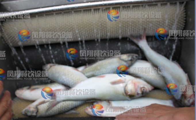 CE Approved MSTP-80 potato peeling machine ,commercial potato peeler ,onion peeling machine SKYPE: feng9915)