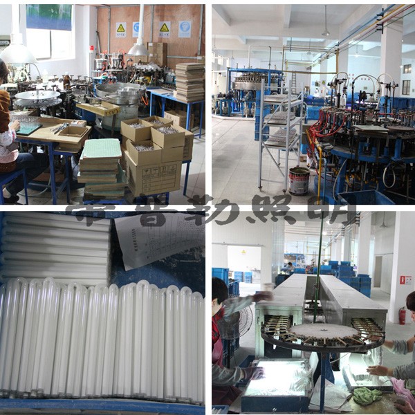 p-03.jpg