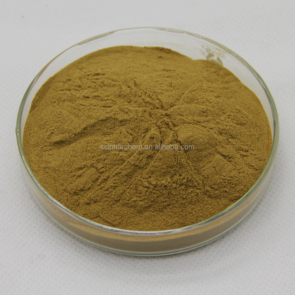 Free Sample Available Hot Sale Clove Oil Extraction