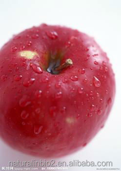 instant apple tea powder for drinking