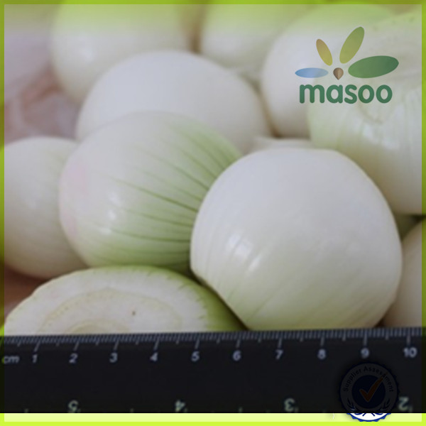 2014 New Crop onion importer from dubai,wholesale onion, Fresh Onion