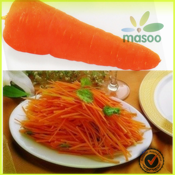2014 Seasonable vegetables plush carrot /carrots exporter in China