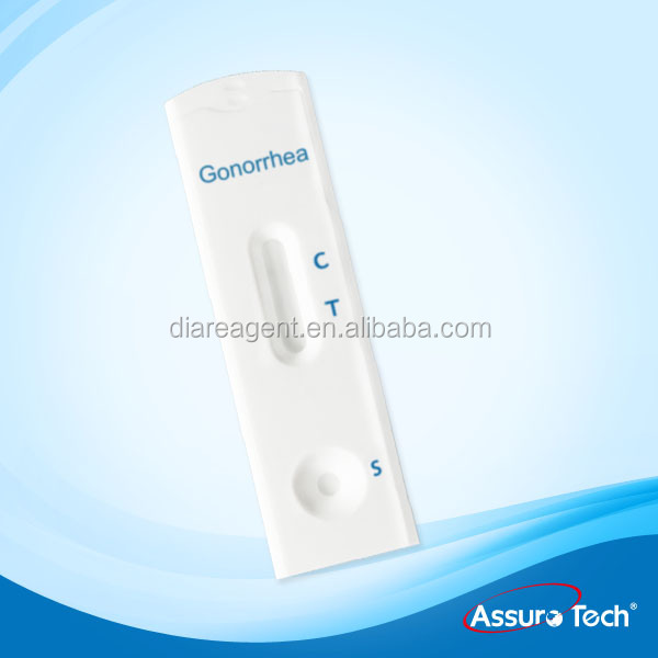Gon-3.jpg