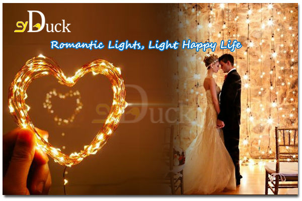 ロマンチックな結婚式の好意のカラフルな銅線の光問屋・仕入れ・卸・卸売り