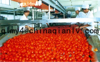 tomato sauce machine price