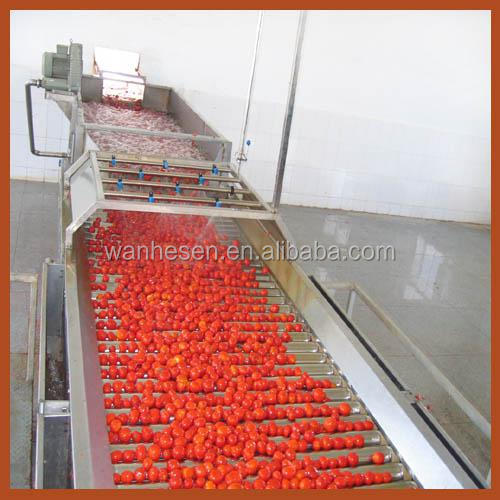 paste tomato