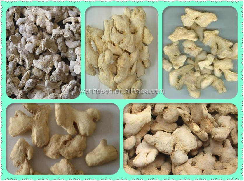 Various Specification dry ginger