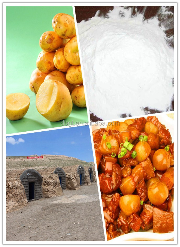 fresh potato from shaanxi