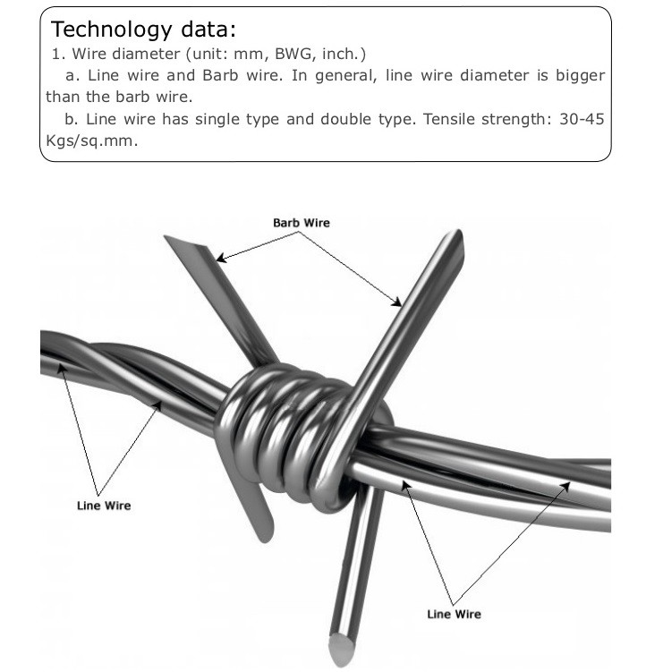 Barbed Wire 06