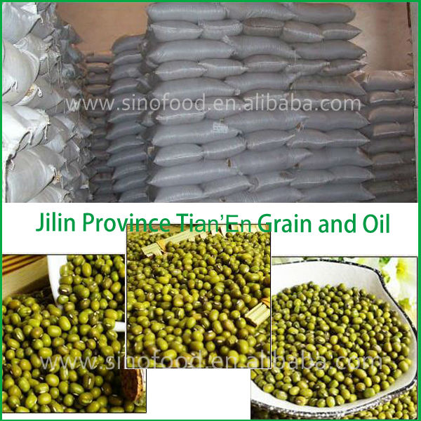 25/50kg Mung bean sprout in pp bags