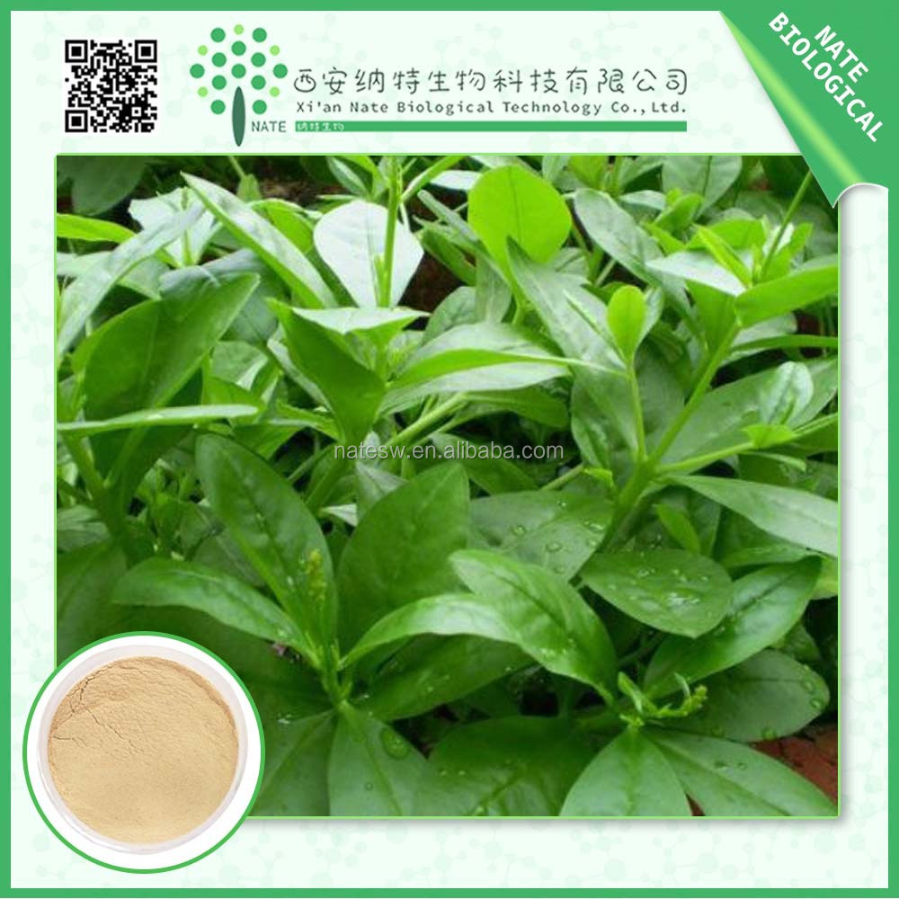 nice price with good quality ginseng extract of 45% panaxoside