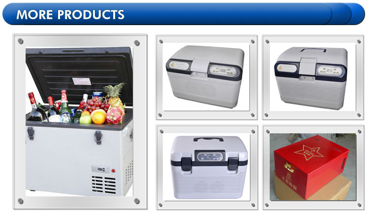dc12vミニ冷蔵庫ポータブル車の冷蔵庫の冷凍庫問屋・仕入れ・卸・卸売り
