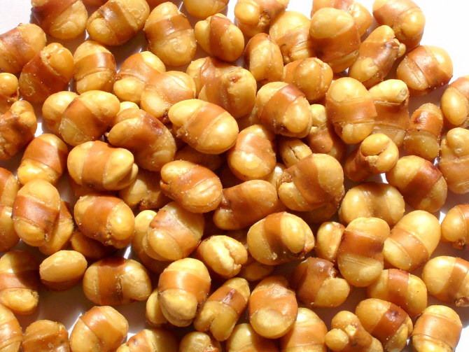 fried broad bean