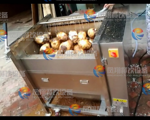 CE Approved MSTP-80 potato peeling machine ,commercial potato peeler ,onion peeling machine SKYPE: feng9915)