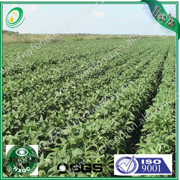 Refined soybean oil--most competitive market price