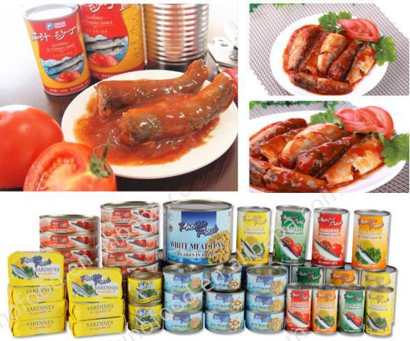 canned Sardines in brine for sale