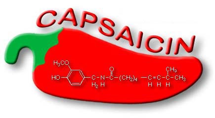 GMP Factory Supply Natural and Pure Capsaicin 99% capsaicin