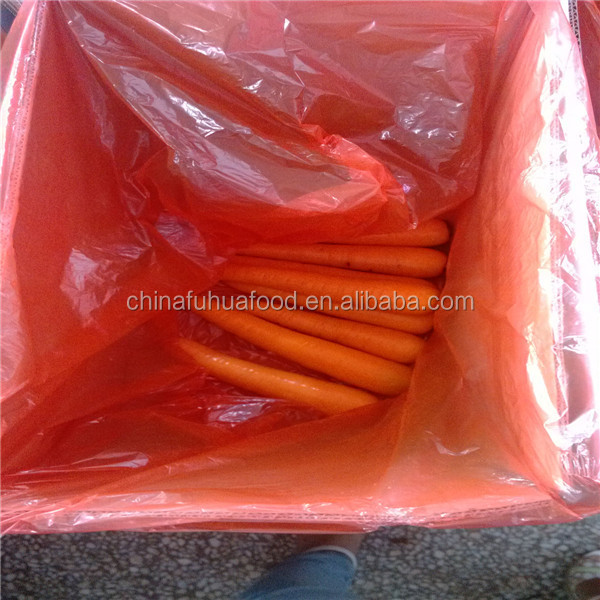 Fresh Carrot Vegetables