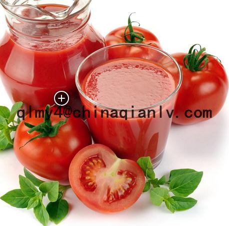 bulk tomato paste in drum