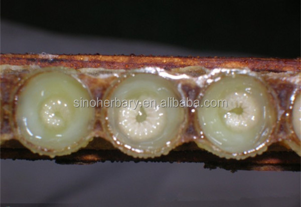 2014 High Quality Lyophillized Royal Jelly Powder