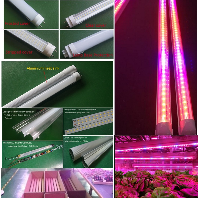 フルスペクトラム果物と野菜の成長照明4ft 1200ミリメートル18ワットt8 ledチューブを育てるライト温室水耕栽培仕入れ・メーカー・工場