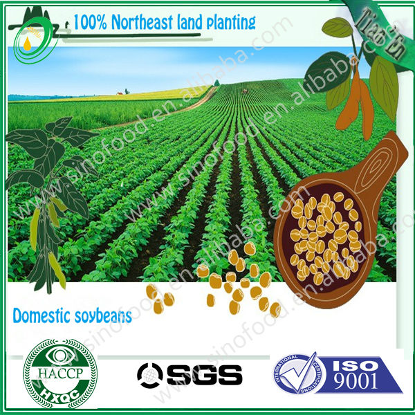 soya bean oil extraction