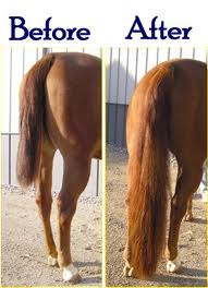 horsetailextensions
