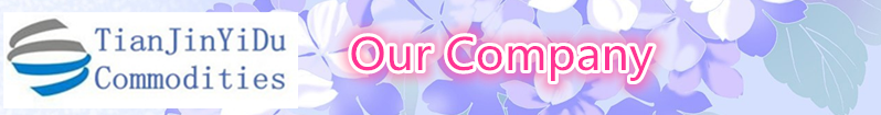Our Company.png