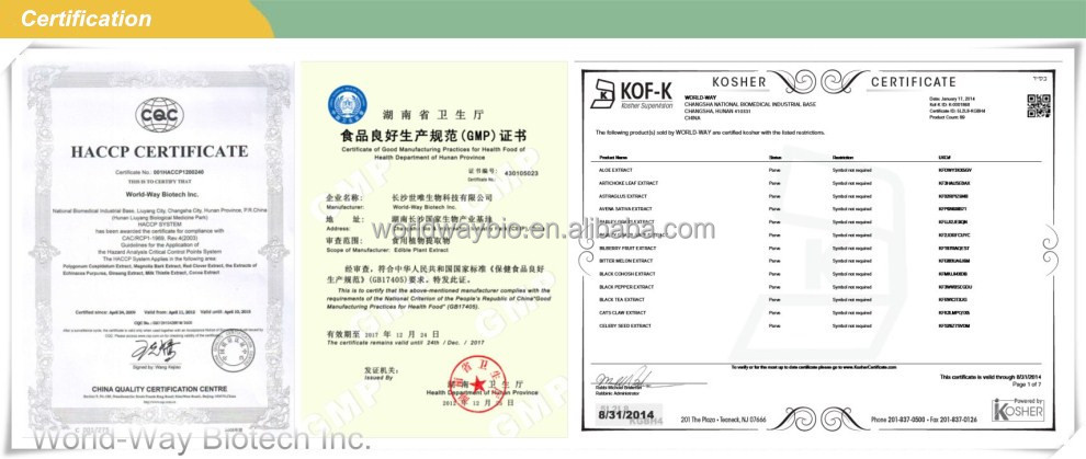 piperine free sample HACCP KOSHER GMP certified China factory food grade 10% black pepper extract piperine