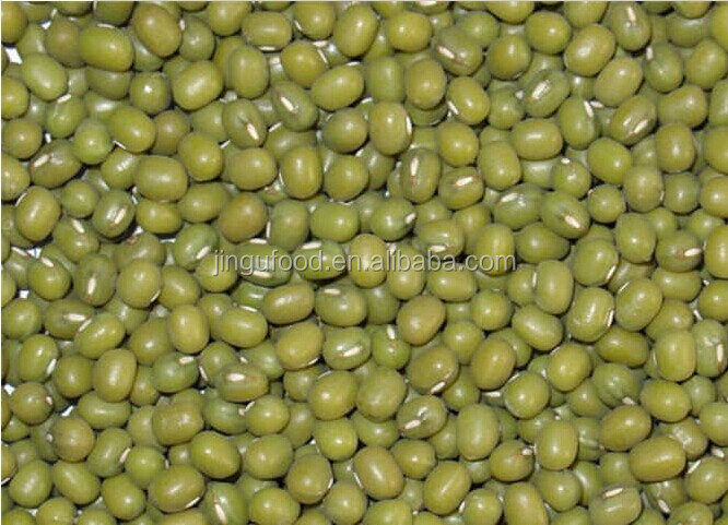 Freeze Dried Green Bean