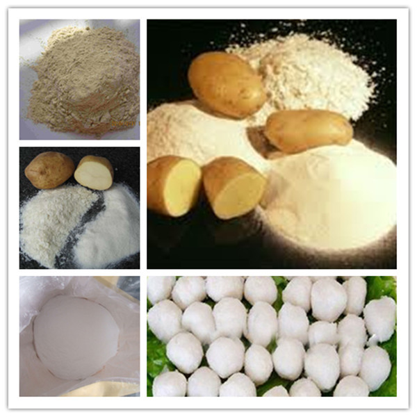 2014 high quality DBGT- Potato Starch on sale !!!!