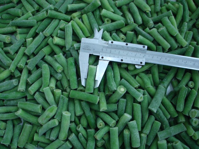 new crop frozen cut green beans
