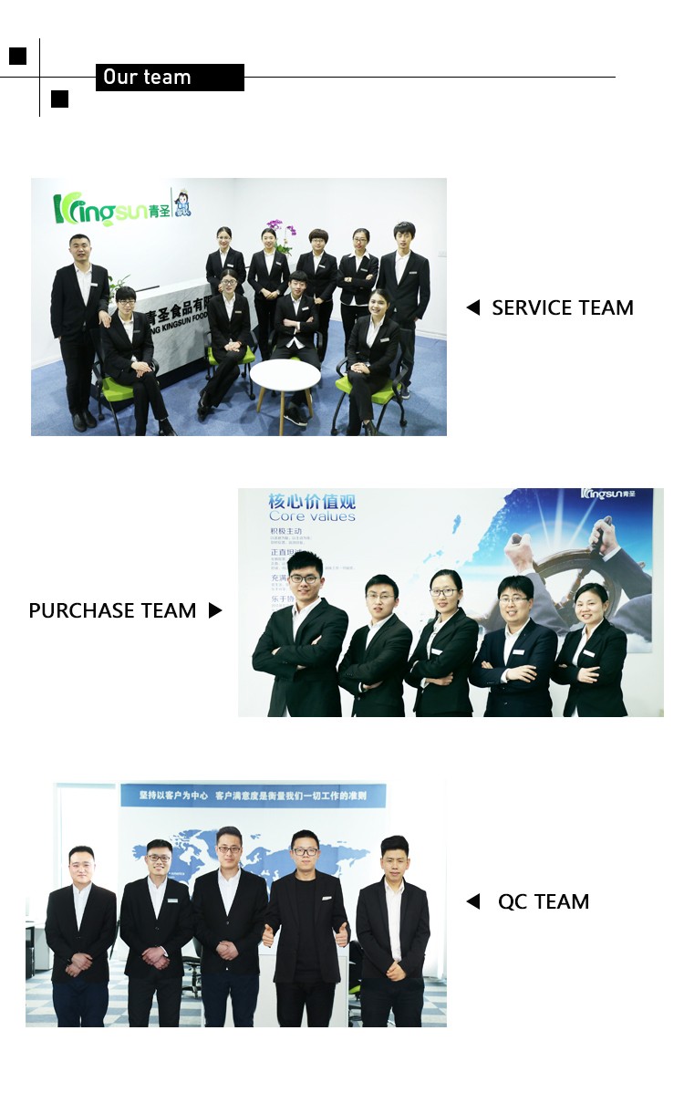 OUR TEAM.jpg