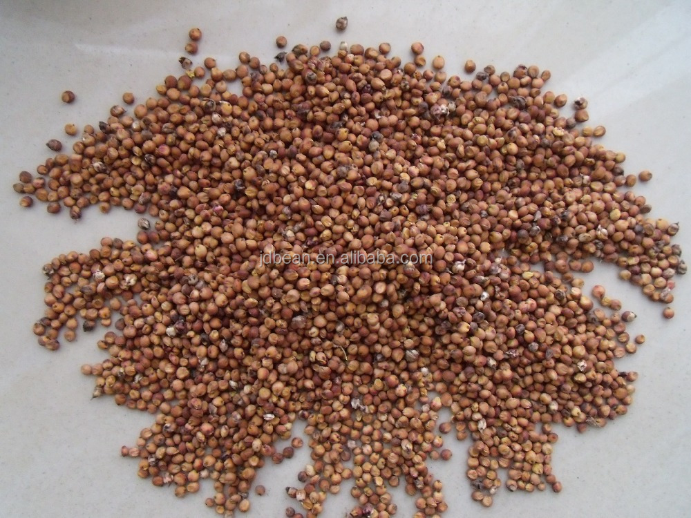 price of red sorghum buy specification of sorghum bulk price of red sorghum buy specification of sorghum bulk