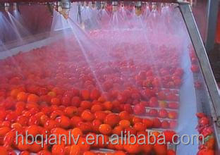 Best quality from Xinjiang Brix 28-30% concentrated CANNED TOMATO PASTE