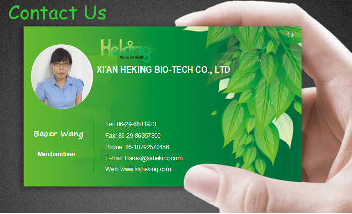 Raw Material Rutin Extract