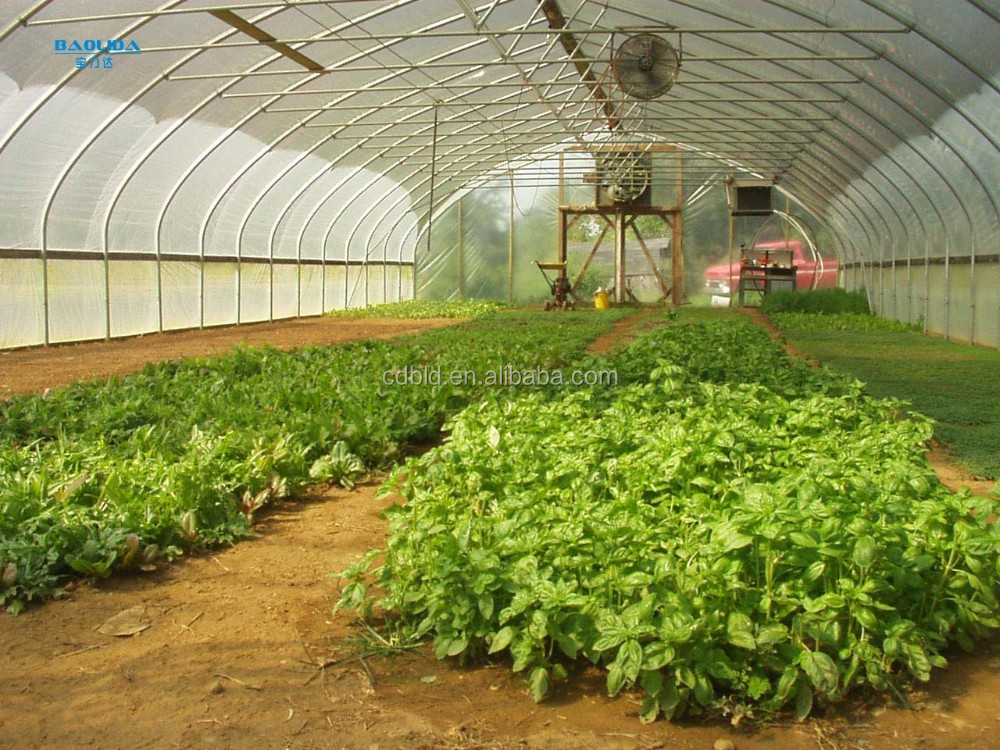greenhouse1 