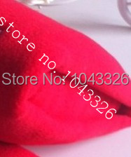 fleece red_.jpg