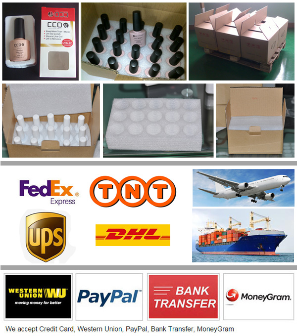 Shipping and Payment