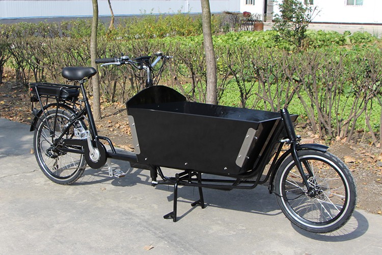 Adult Pedal Two Wheel Cheap Cargo Bike Manufacturer