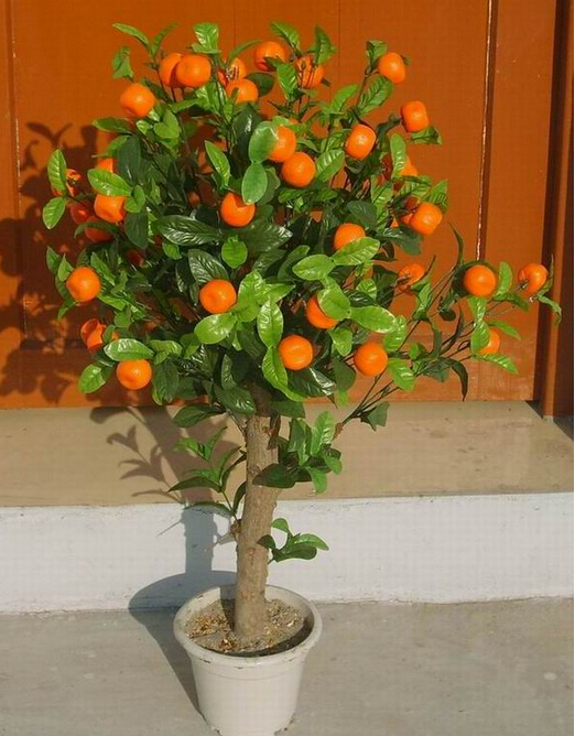 Wholesale Artificial Orange Bonsai Tree For Home Decoration Buy