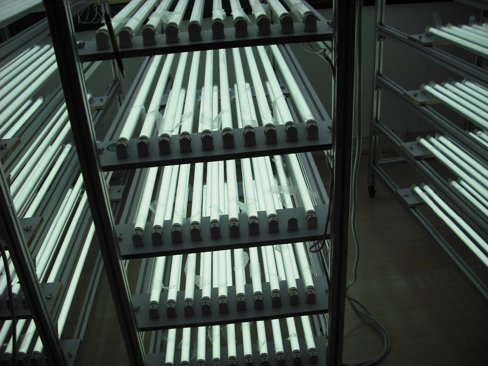 Dlc etl saa ce rohs 4ft 18 ワット t8 led チューブ互換電子バラスト仕入れ・メーカー・工場